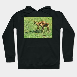 Little Fawns Exploring Hoodie